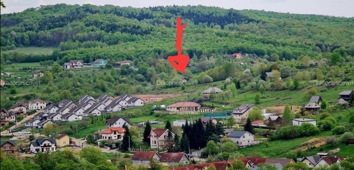 Teren 15 ari cu verdeata si panorama superba Str Paltinului Bistrita - 1