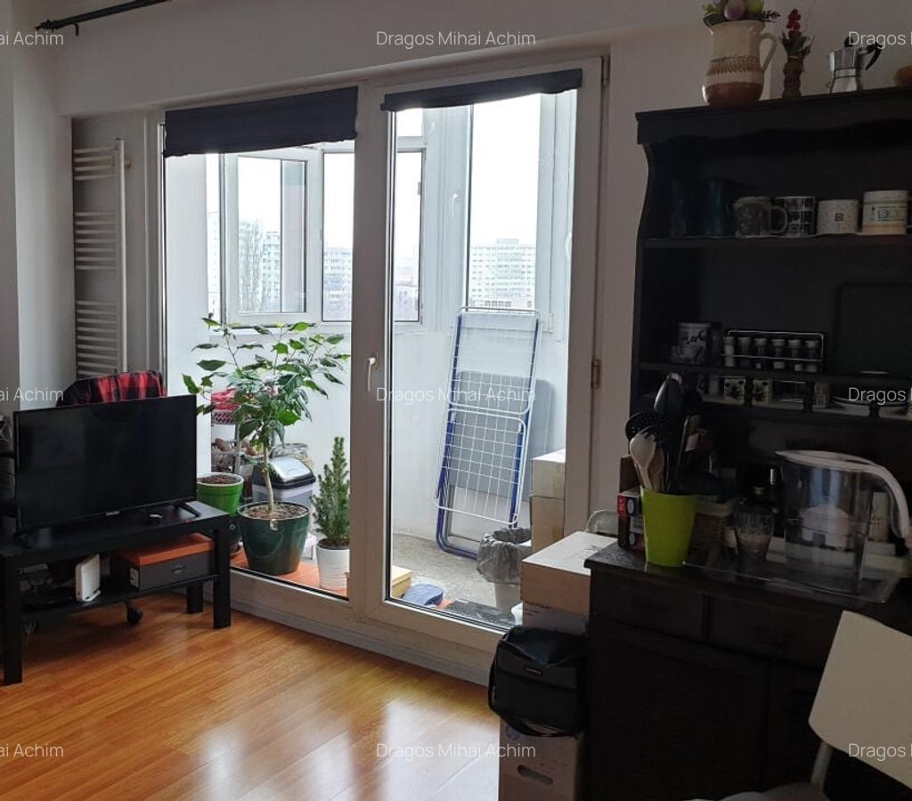 Garsoniera inchiriere , Pet friendly - Piata Victoriei - Banu Manta - 3