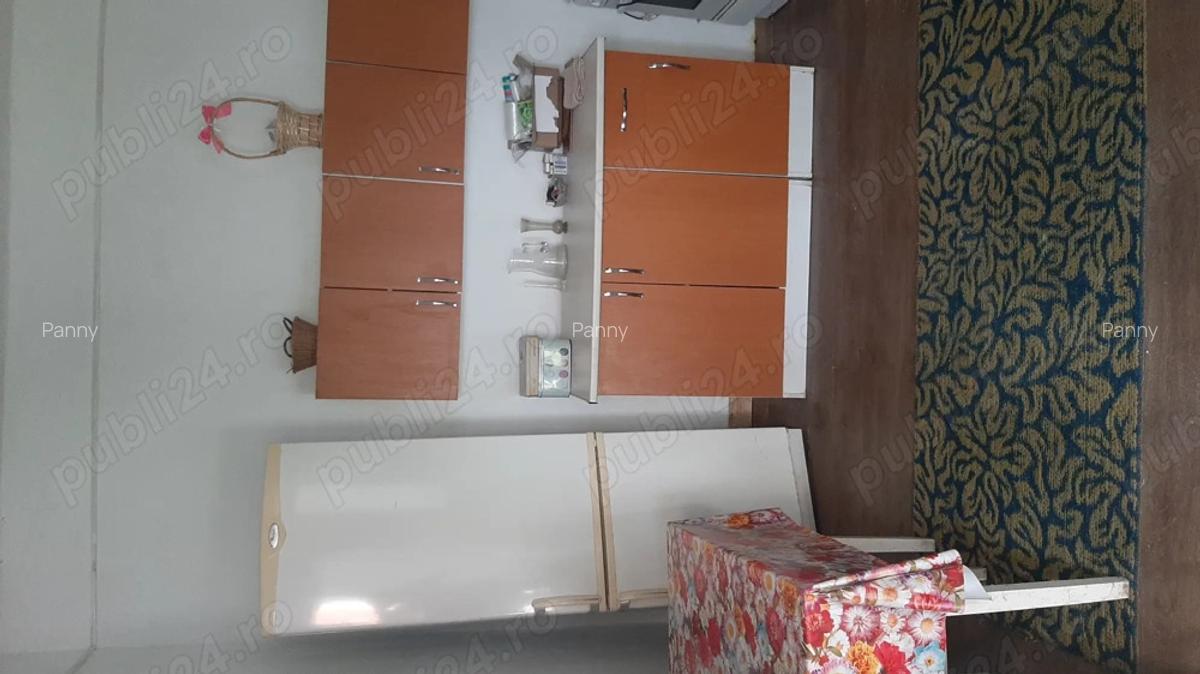 Proprietar Vand Casa in Bihor - 2