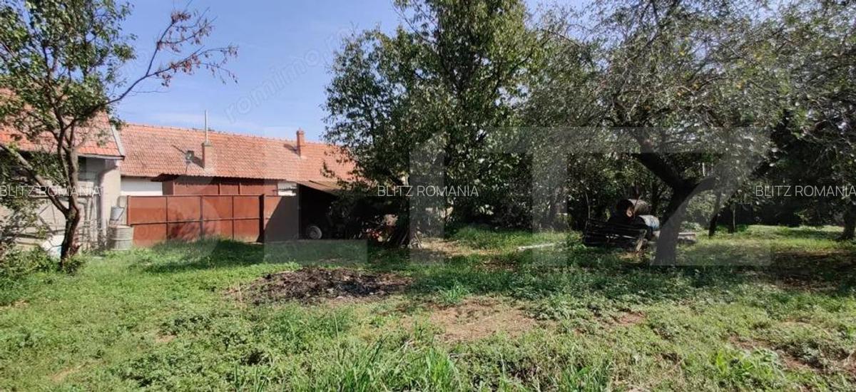 Casa mare cu gospodarie completa Belin?, jude?ul Timi? teren 4.900 mp - 12