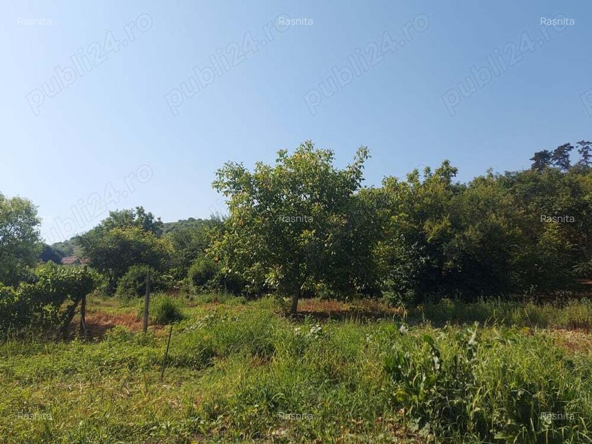 Casa cu gradina in Blaj - 6