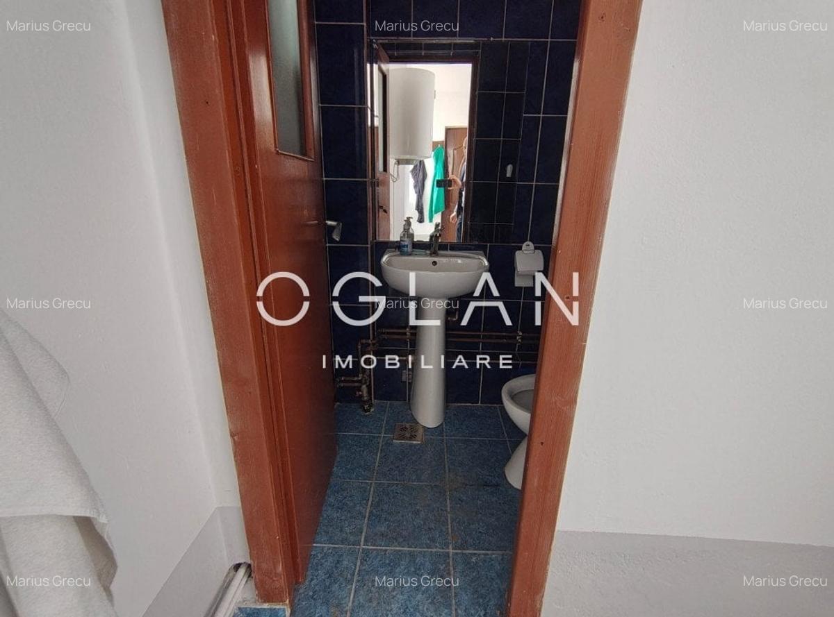 Spatiu comercial 450 mp (P+E)- zona Terezian - 10