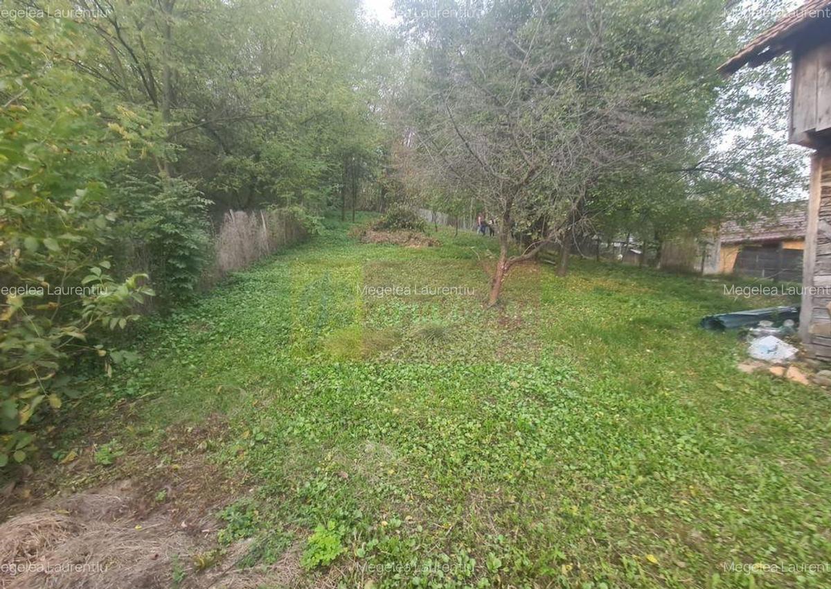 Casa batraneasca cu teren (4.910 mp) la Alunis - 12