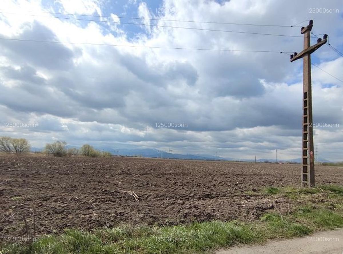 Teren intravilan 4,57 ha în Stupini - DN13. - 4
