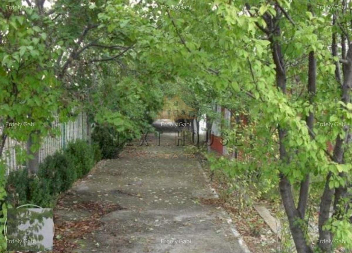 Teren la 35 km de Bucuresti - Izvorani - Ciolpani - 5