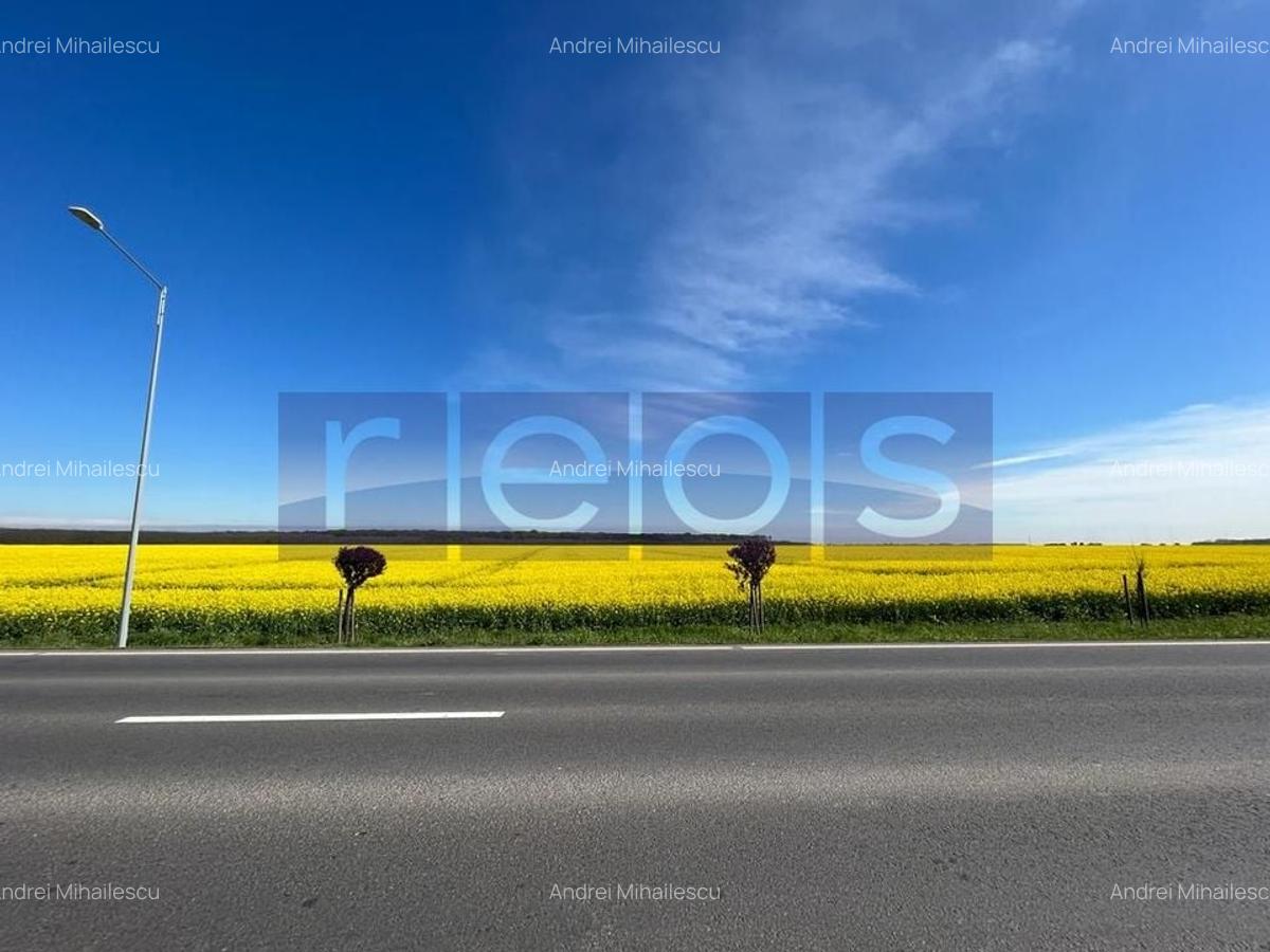 Teren 6.5HMakita Branesti deschidere 65 mp - 2