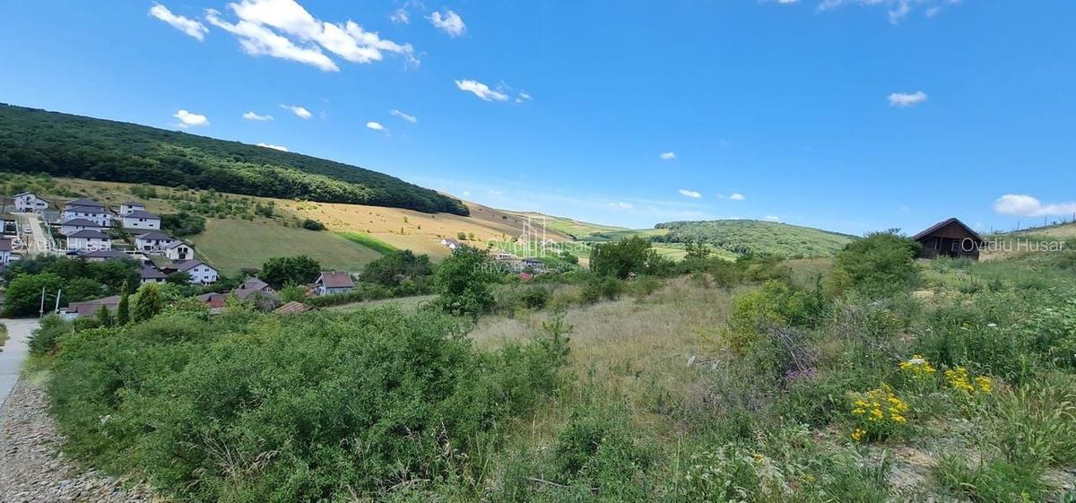 Teren 1 598 Mp De Vanzare, Panorama Superbă, Str Livezi, Sancrai - 6