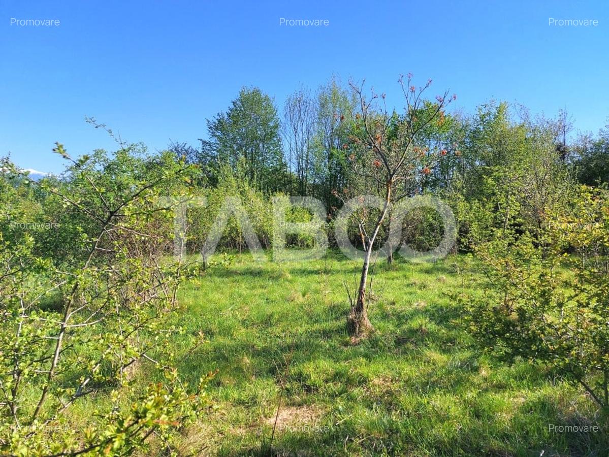 Teren intravilan 4280 mp acces la drum si utilitati zona deosebita - 7