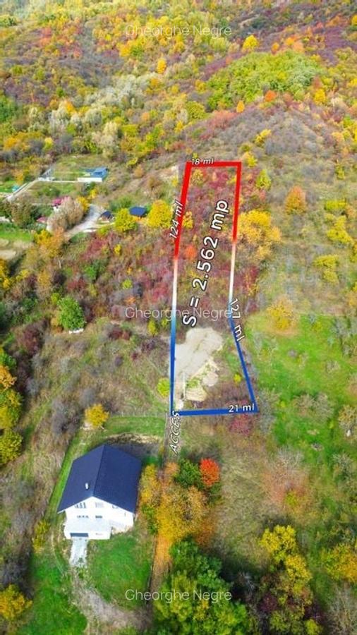 Teren de vanzare Baia Mare str. Strada Miron Costin - 1