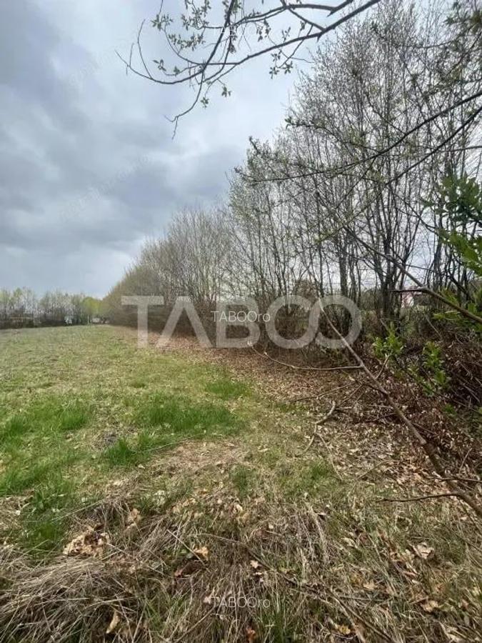 Teren intravilan de vanzare 550m front 21 m utilitati la 120m Cisnadie - 2