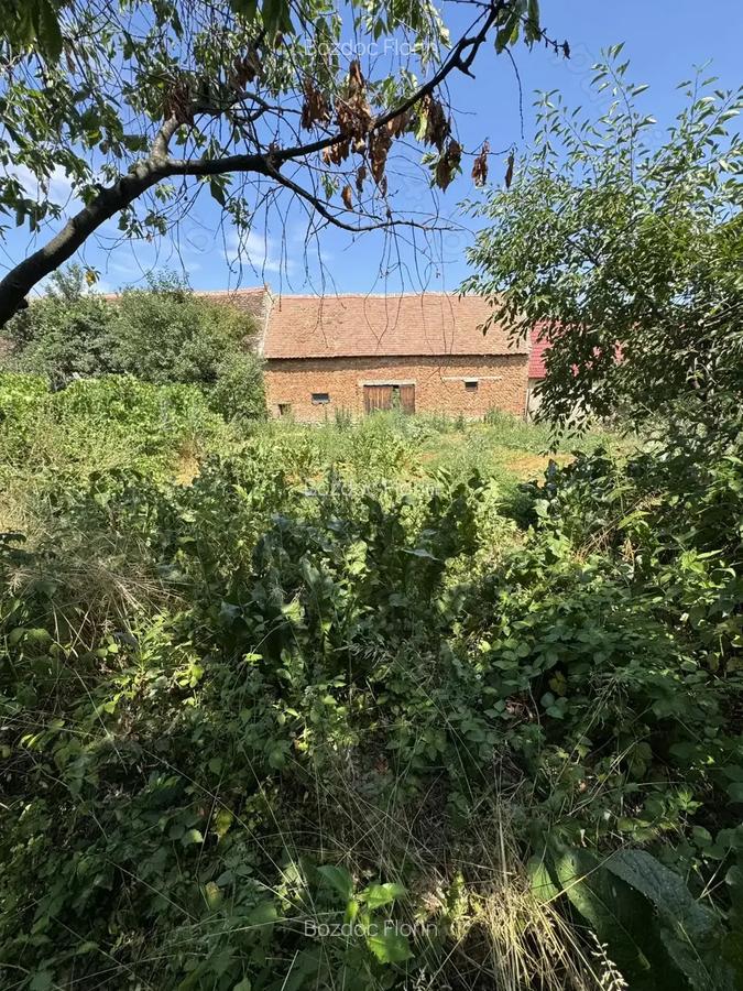 Casa de vanzare in centrul localita?ii Ve?tem direct de la proprietar! - 10