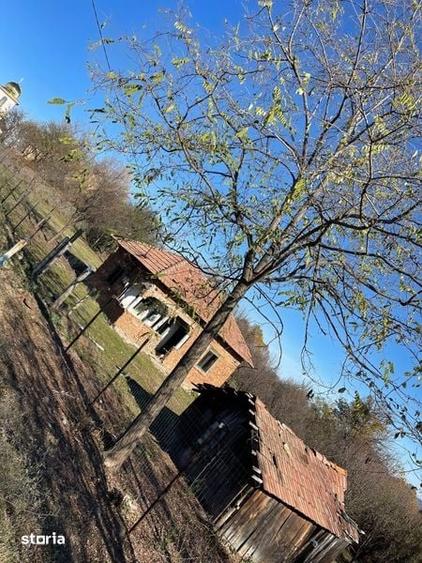 Teren de 2200 mp, în Milcoiu