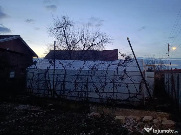 Vand casa ?i gradina - 7
