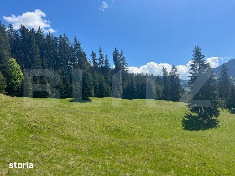 Teren de 25209 mp, în Tiha Bârgăului