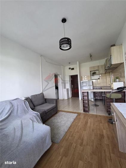 Apartament cu 2 camere în Socola
