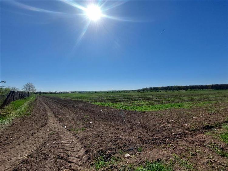 Teren intravilan de 50000 mp, în Pișchia