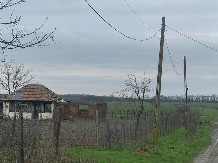 Teren Frumu?ani - direct proprietar 10000mp. - 2
