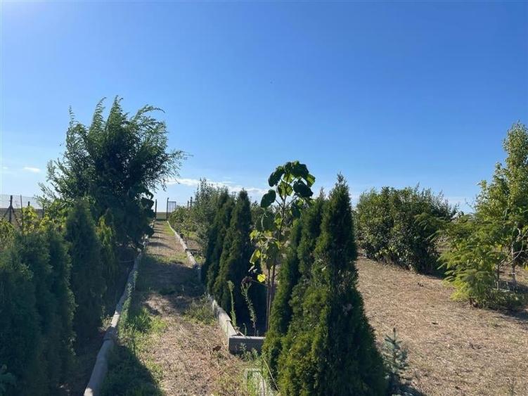 Teren Construcții intravilan de 2230 mp, în Cataloi
