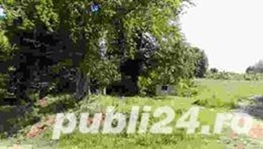 Teren de 10791 mp, în Central