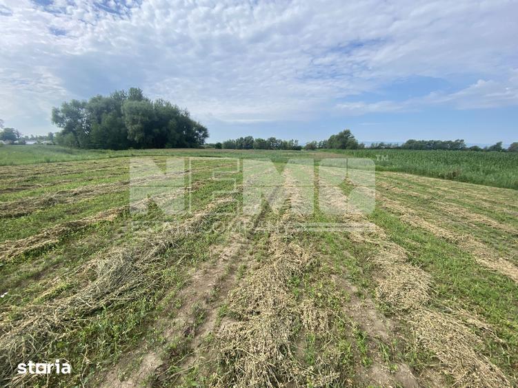 Teren de 2300 mp, în Satu Mare