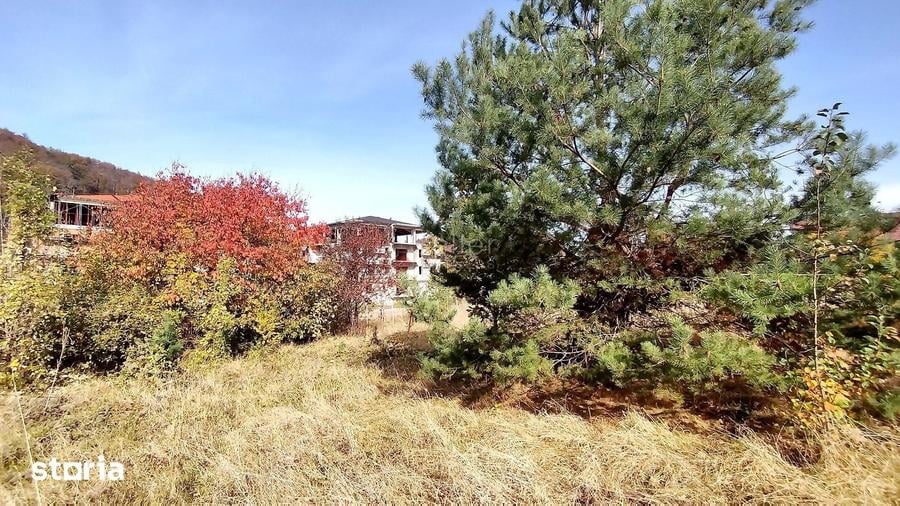 Teren de 660 mp, în Bunloc