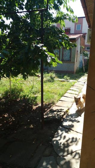 Casă cu 2 camere cu Teren 539 Mp în Central
