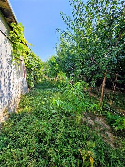 Casă individuală cu 5 camere cu Canalizare în Chercea
