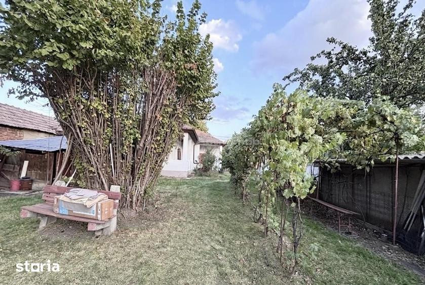 Casa str Beldiceanu - teren 1400 mp - 3