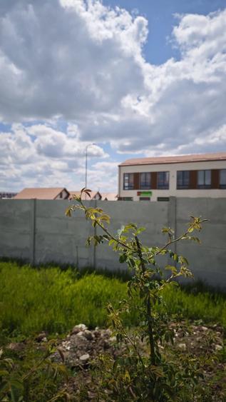 Teren de 417 mp, în Central