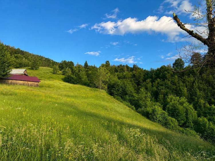 Teren de 30000 mp, în Muntele Rece