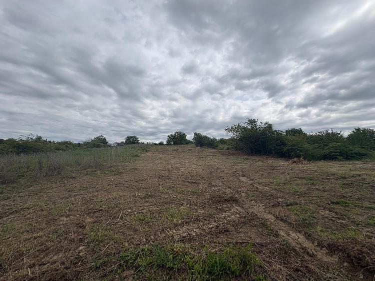 Teren Construcții intravilan de 1500 mp, în Est