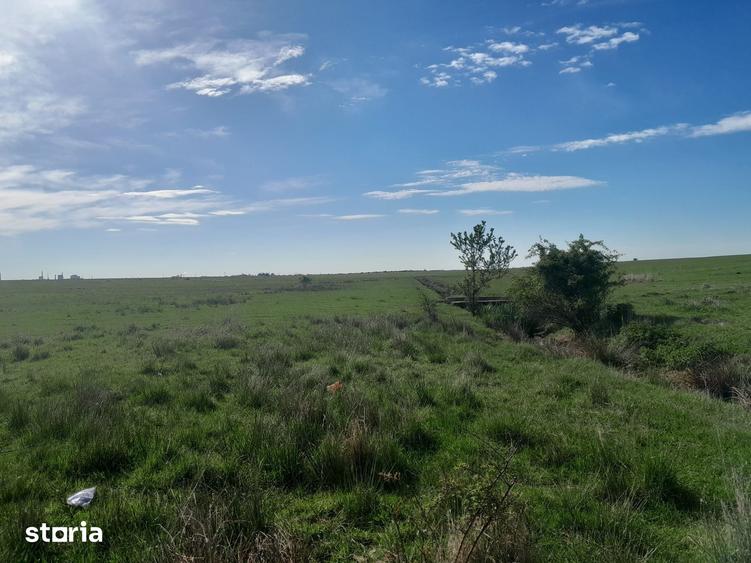 Teren de 30700 mp, în Albota