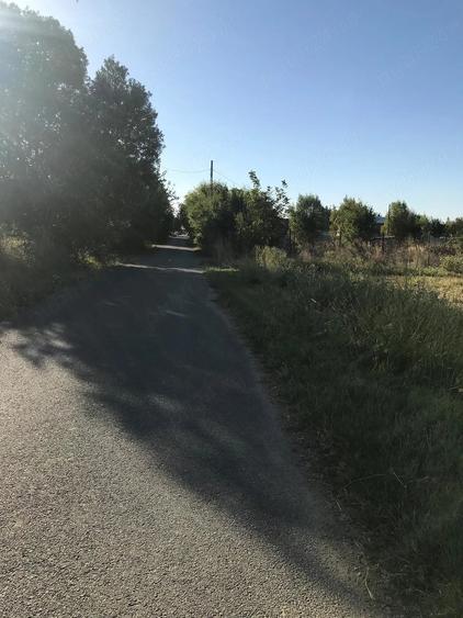 Teren de 3200 mp, în Crivăț