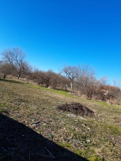 Teren Construcții intravilan de 937 mp, în Ronaț
