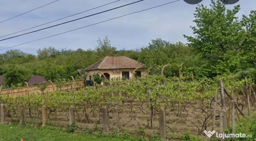 Casă cu 2 camere cu Teren 800 Mp în Central