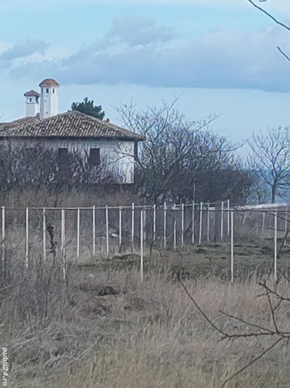 Teren de 750 mp, în Central