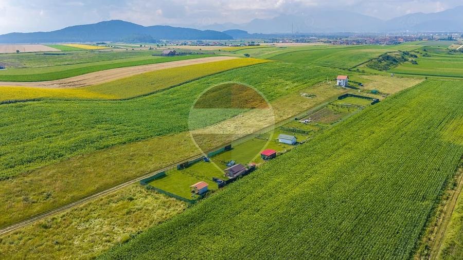Parcele de teren intra/extravilan 563, 606mp Bod/2 proiecte diferite! - 5