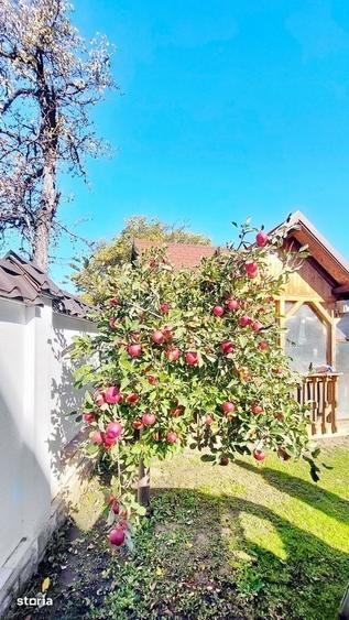 Casă cu 5 camere cu Teren 425 Mp în Florilor