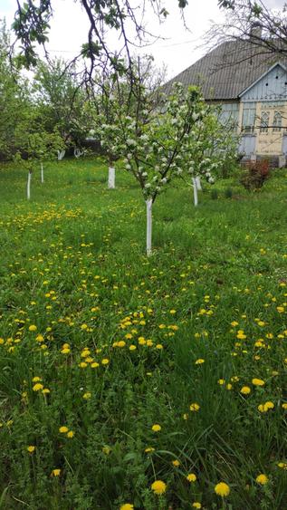 Casă cu 2 camere în Dersca