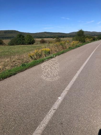 Teren Construcții extravilan de 3500 mp, în Chintelnic
