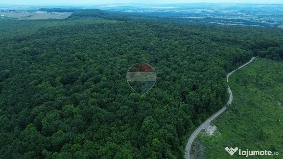 Teren în Șerbăuți
