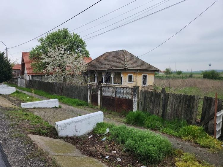 Casă cu 3 camere în Rogova