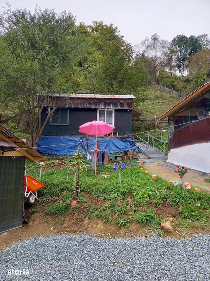 Casă cu 2 camere cu Teren 3800 Mp în Bistra