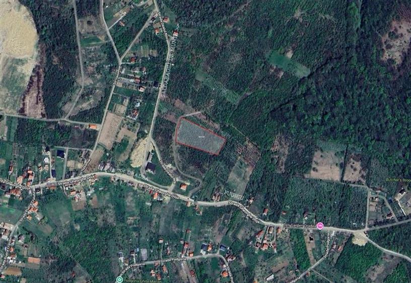 Teren intravilan de 9091 mp, în Săldăbagiu de Munte