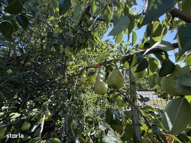 Casă cu 2 camere în Bârgău