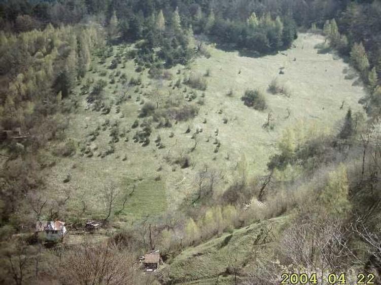 Spațiu comercial, în Drumul Carului
