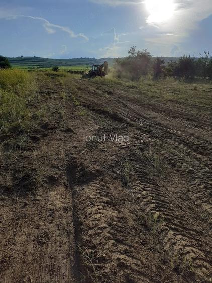 Teren intravilan de vanzare