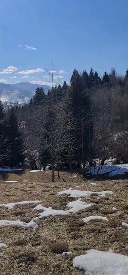 Spațiu comercial, în Sud