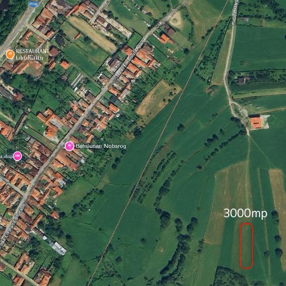 Teren de 3000 mp, în Rășinari