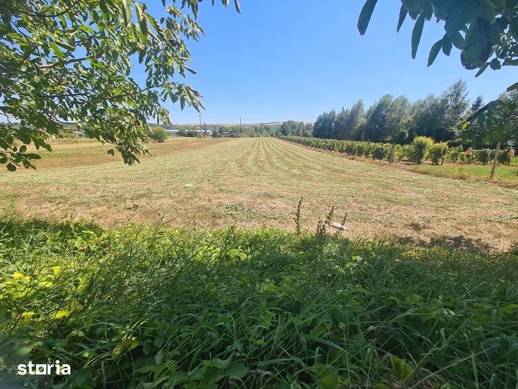 Teren de 5000 mp, în Cașin
